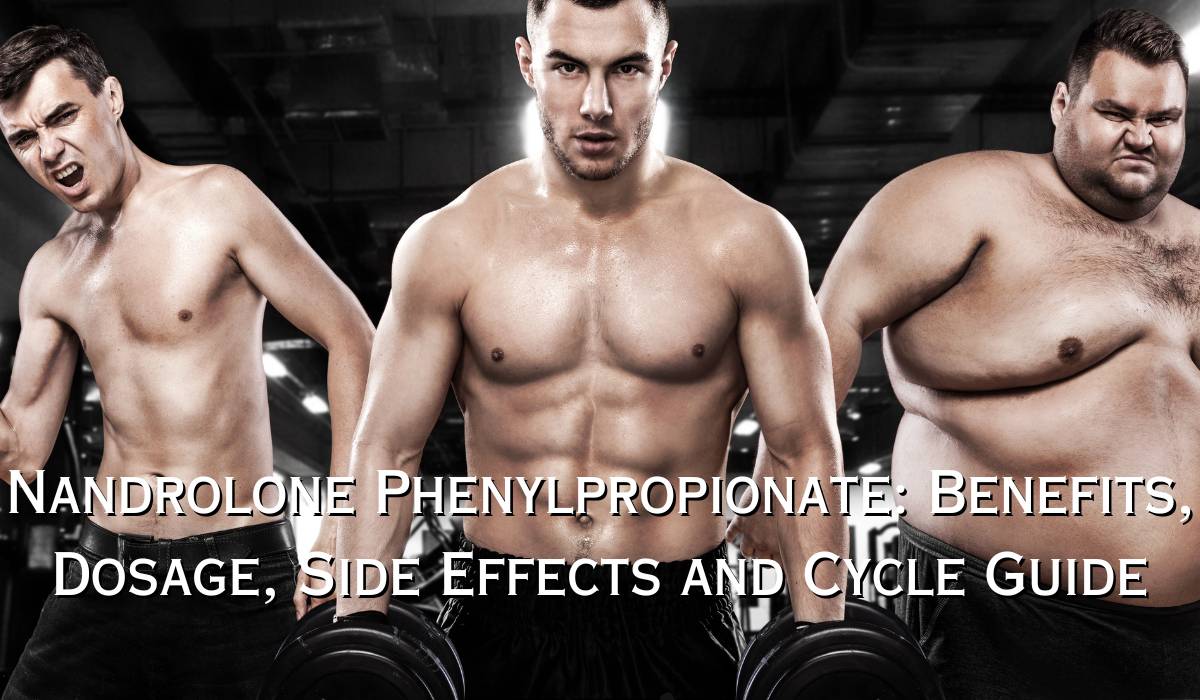 Nandrolone Phenylpropionate: Benefits, Dosage, Side Effects and Cycle Guide